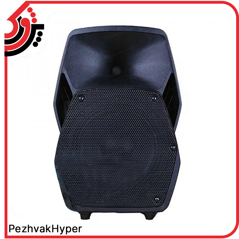 باند اکتیو دی جی DJ TS500A باند اکتیو دی جی DJ TS500A