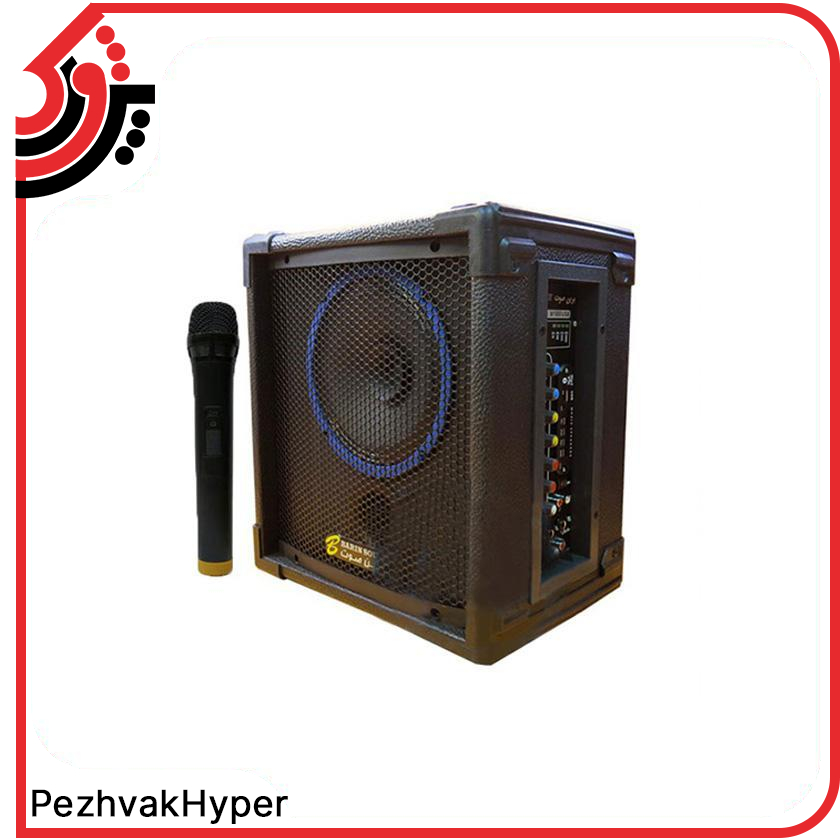 اکو همراه 8 اینچ برین صوت مدل Barin-1880