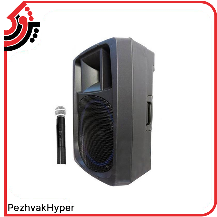 اکو همراه 12 اینچ برین صوت مدل Barin-3695