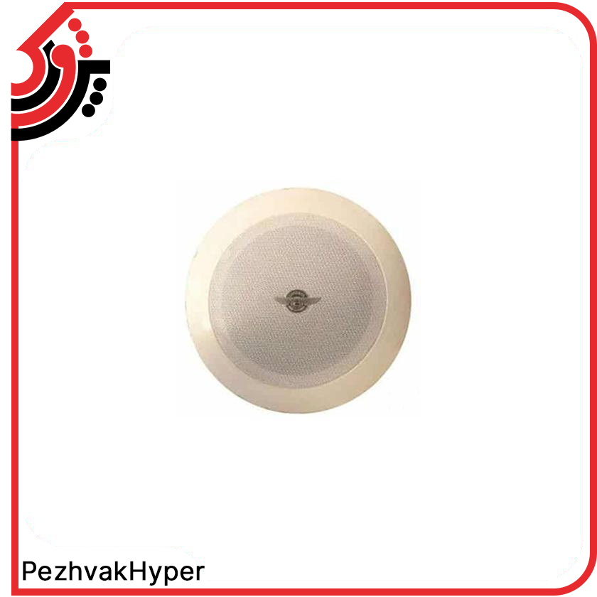 بلندگو سقفی توکار چیرمن Chairman PG102