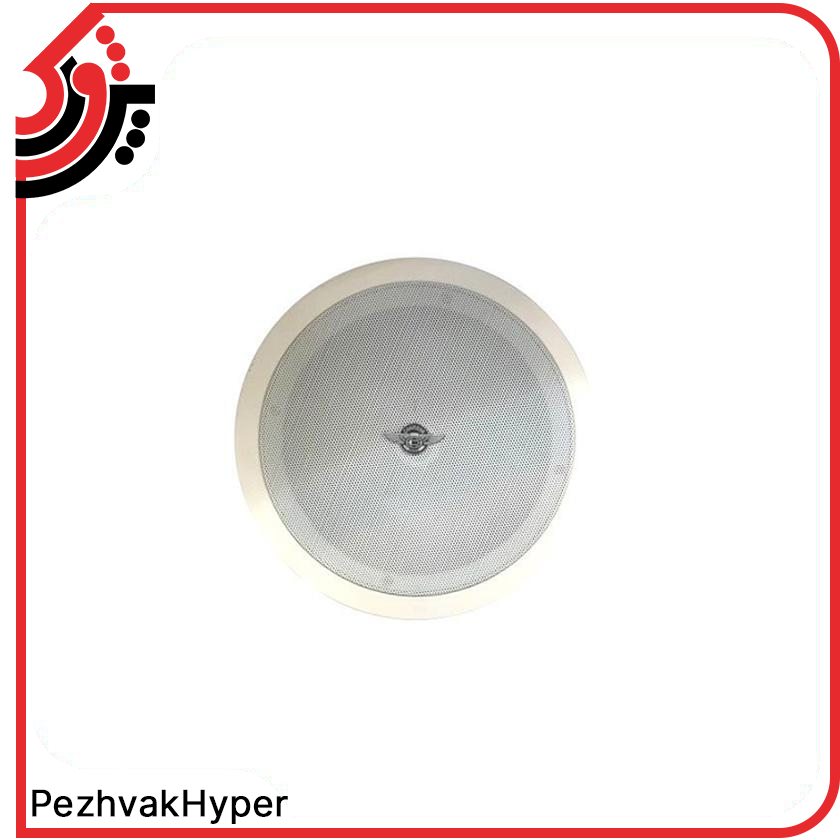 بلندگو سقفی توکار چیرمن Chairman PG102