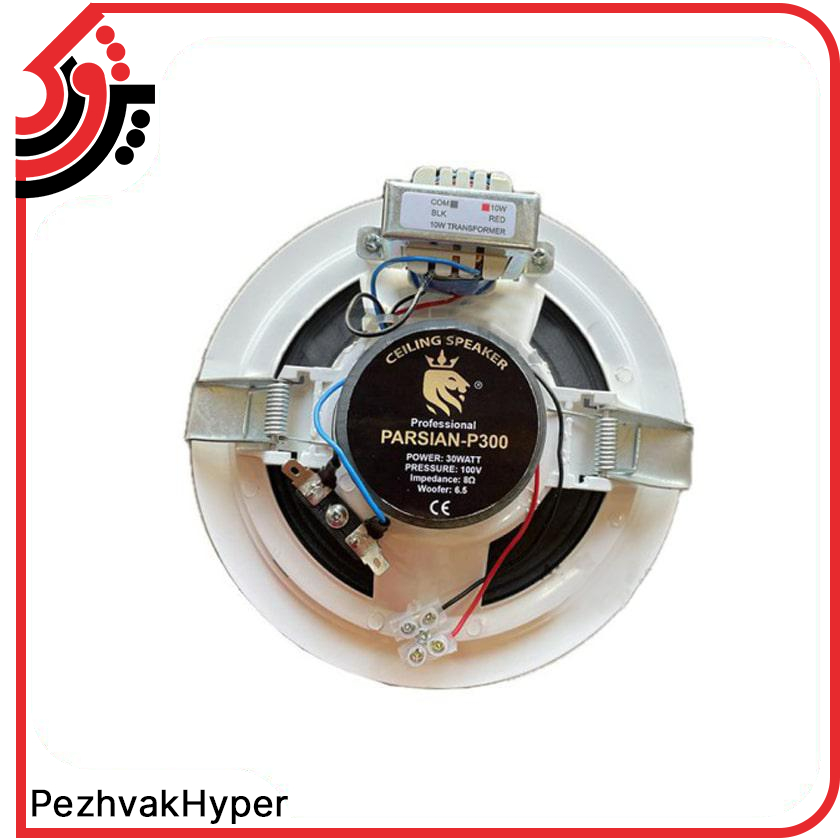 Ceiling-Speaker-PARSIAN-P300 (2)-min