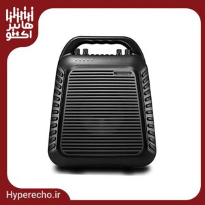 اکو همراه اکوچنگ مدل TWIN