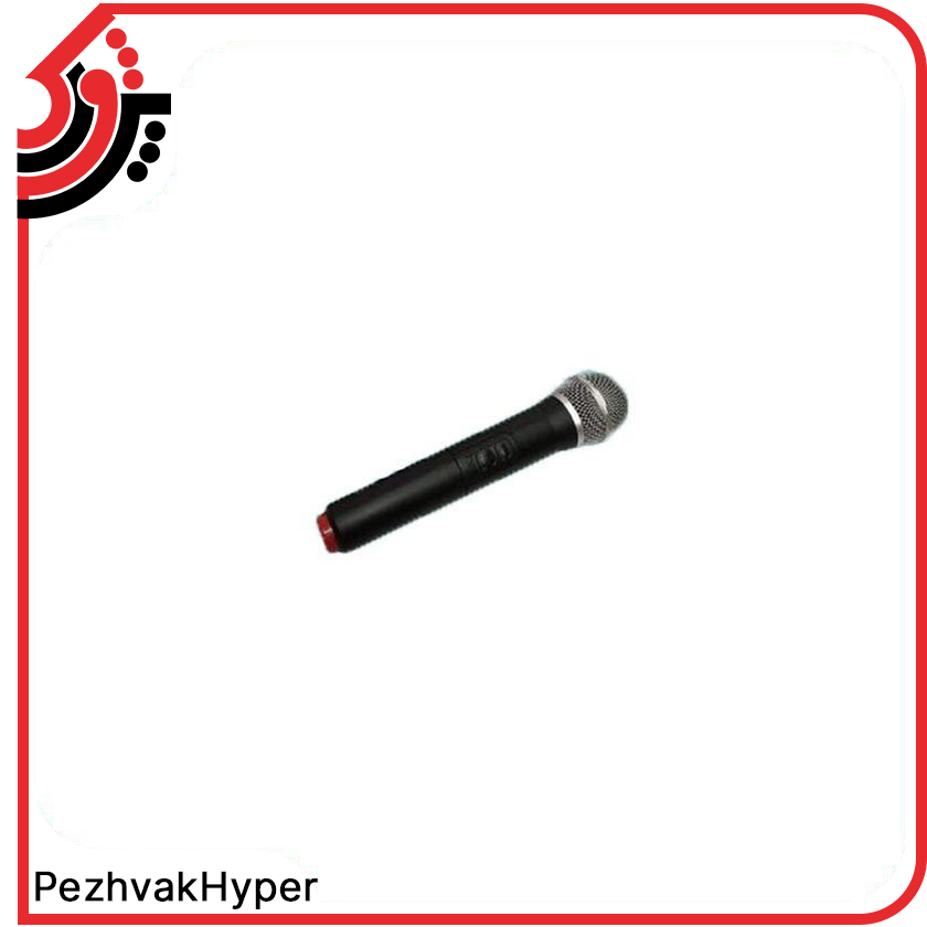 اکو همراه بیسیم قهرمان مدل G95 + میکروفن اکو همراه بیسیم قهرمان مدل G95 + میکروفن