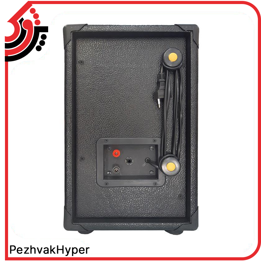 اکو همراه شارژی نواساز NAVASAZ F4UF + میکروفن اکو همراه شارژی نواساز NAVASAZ F4UF + میکروفن