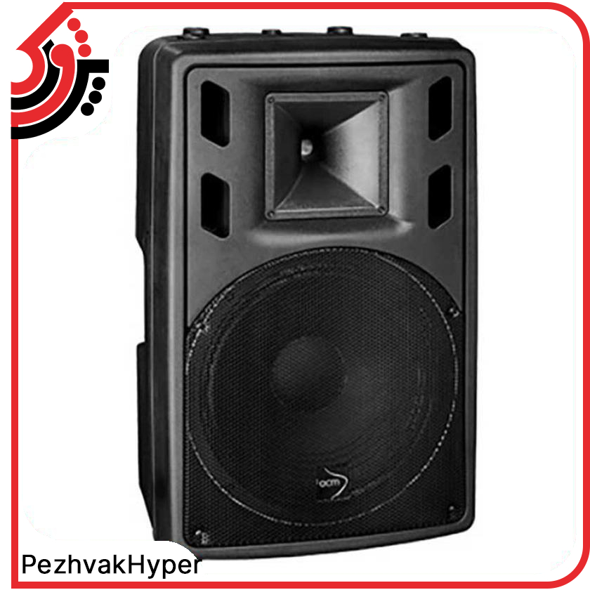 بلندگو پسیو ای سی ام ACM Audio 10H250