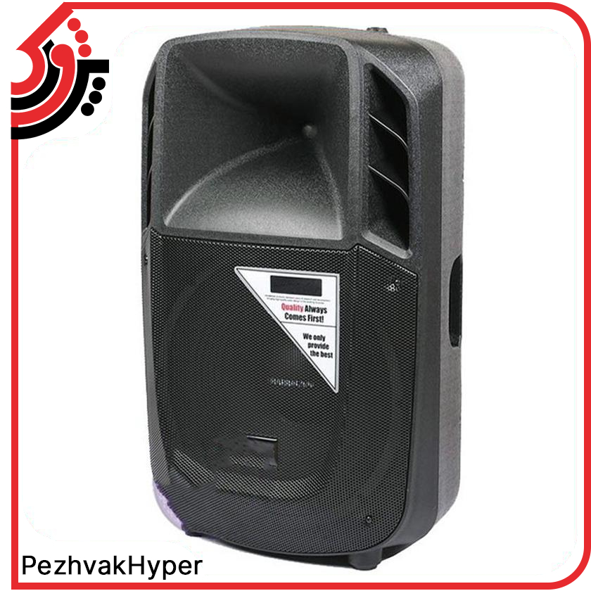 باند پسیو چیرمن Chairman SX15