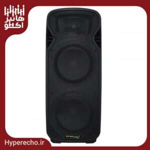 باند پسیو دایناپرو DYNAPRO S2800