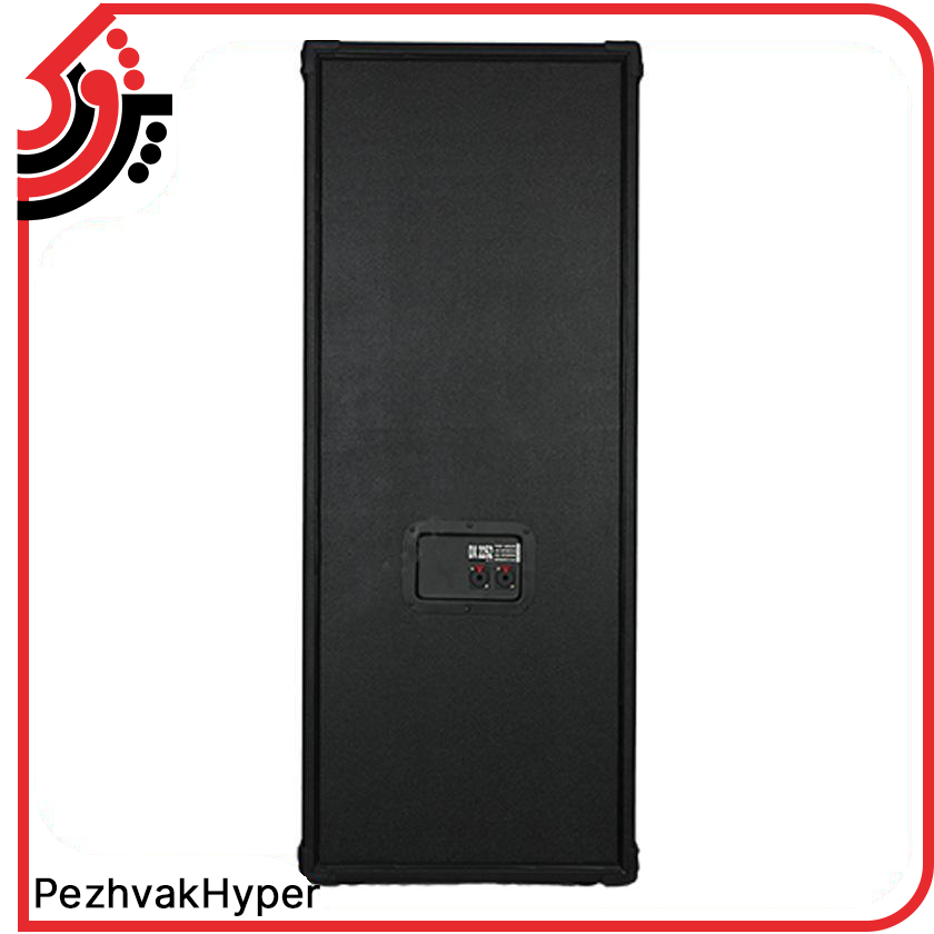 باند پسیو اکوچنگ EchoChang DX2252 باند پسیو اکوچنگ EchoChang DX2252