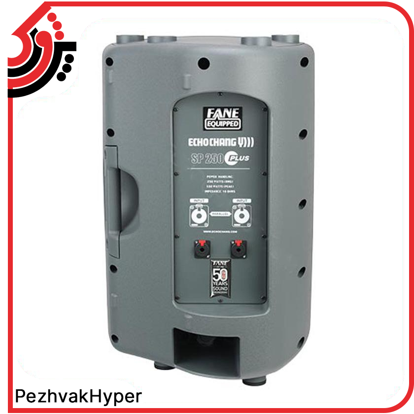 باند پسیو اکوچنگ EchoChang SP250 Plus باند پسیو اکوچنگ EchoChang SP250 Plus
