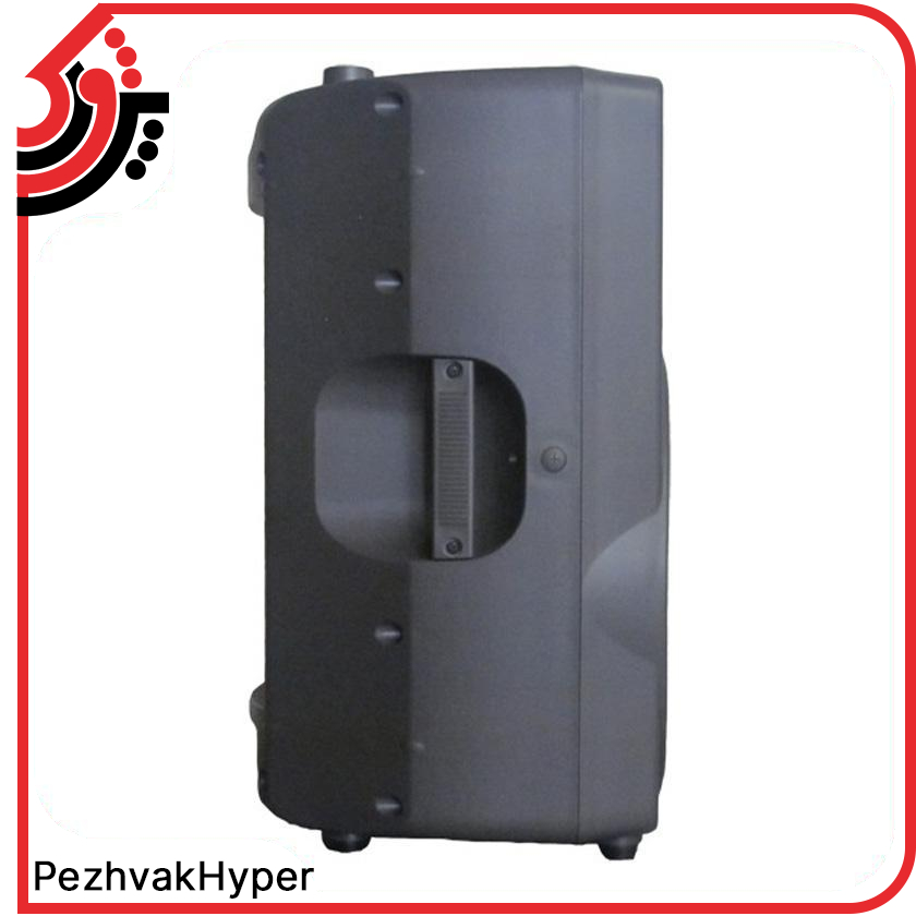 باند پسیو اکوچنگ EchoChang ZX300 باند پسیو اکوچنگ EchoChang ZX300