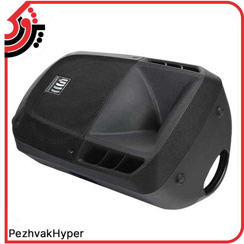 باند پسیو اکوچنگ EchoChang ZX320 باند پسیو اکوچنگ EchoChang ZX320