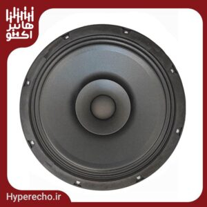 Raw-Speaker-DECK-12DF420