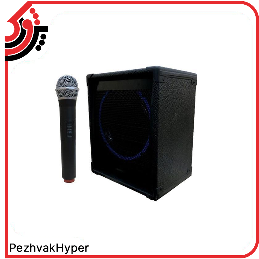 اکو همراه تکنوسوند مدل PTR4 + میکروفن اکو همراه تکنوسوند مدل PTR4 + میکروفن