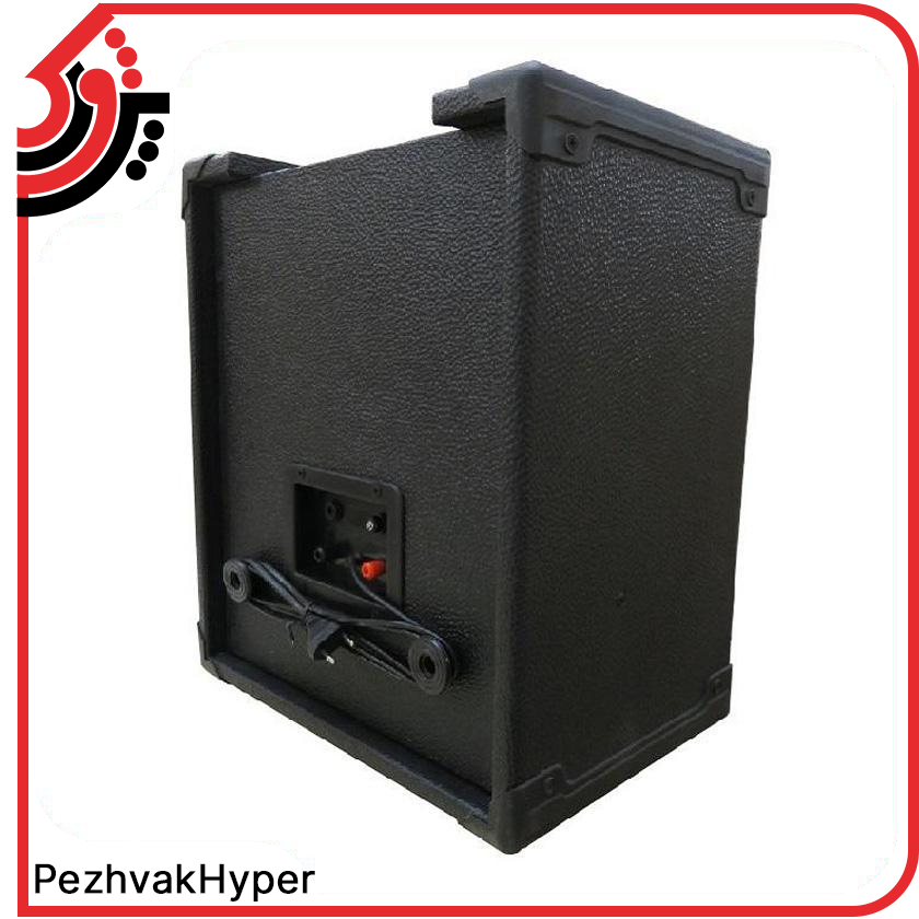 اکو همراه 12 اینچ شارژی تکنو سوند TS100W + میکروفن اکو همراه 12 اینچ شارژی تکنو سوند TS100W + میکروفن