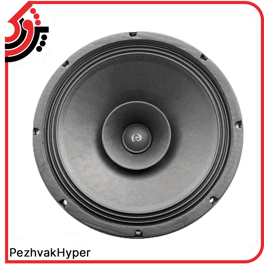 rawspeaker-PH-12500-phoenix (2) rawspeaker-PH-12500-phoenix
