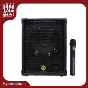 اکو همراه 12 اینچ بامیکروفون زیکو ZICO 12100 PBUR