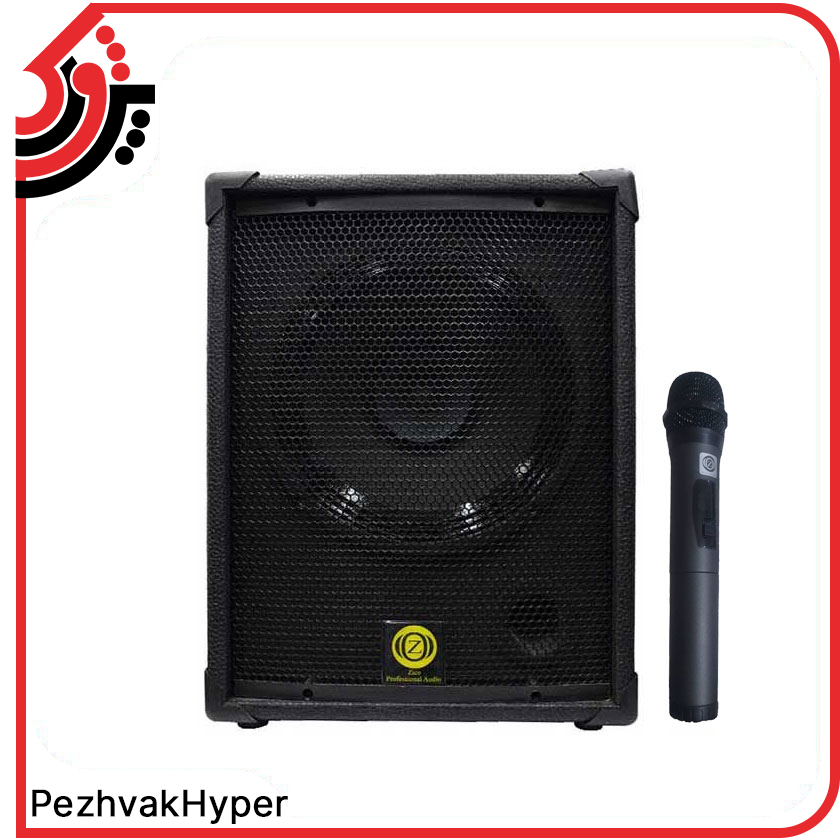 zico-echohamrah-12100 اکو همراه 12 اینچ بامیکروفون زیکو ZICO 12100 PBUR