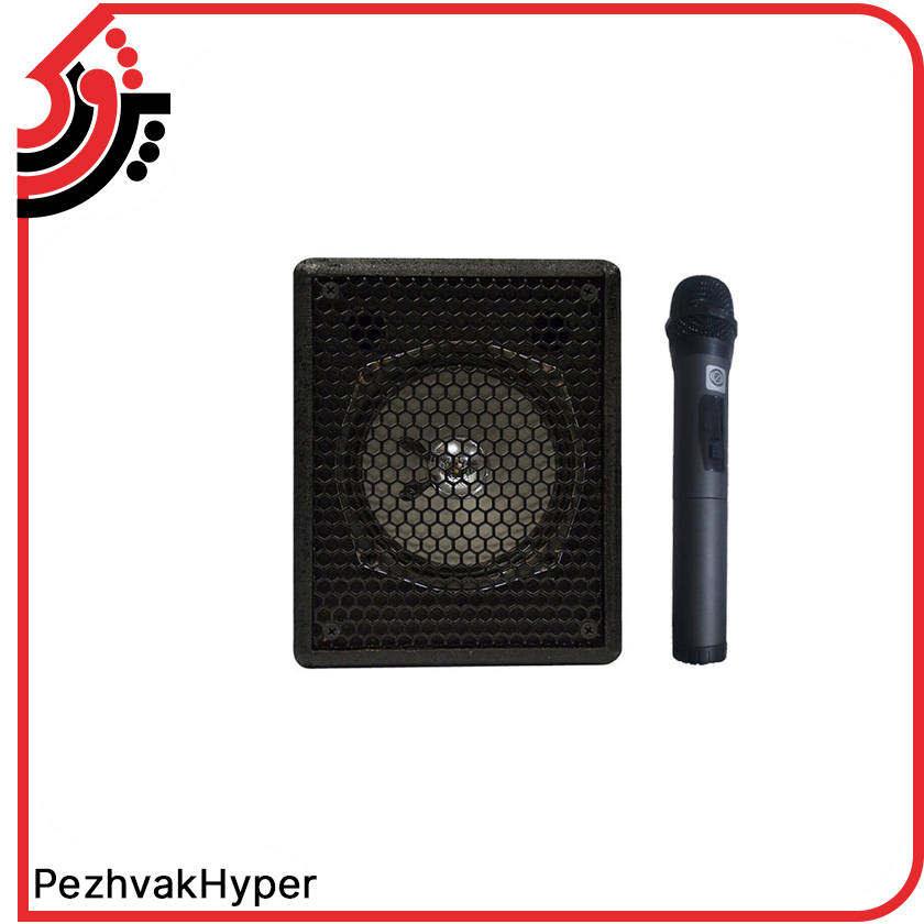 zico-echohamrah-15150 (1) اکو همراه 5 اینچ (مینی) بامیکروفون زیکو ZICO 15150 PBUR