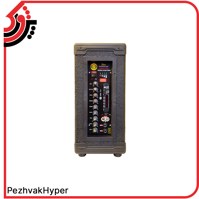 zico-echohamrah-26300 (3)