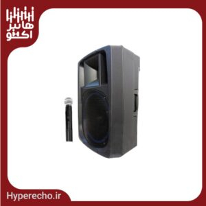 اکو همراه ۱۲ اینچ بیسیم برین مدل 12400