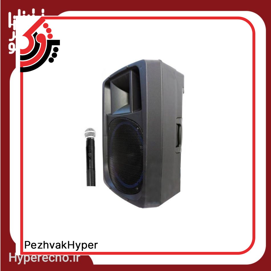 اکو همراه ۱۲ اینچ بیسیم برین مدل 12400