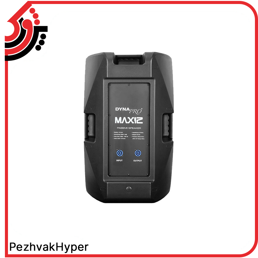 2 باند پسیو دایناپرو DYNAPRO MAX 12