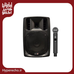 اكو همراه 12 اينچ بيسيم باميكروفن 026 تكنوآوا | TECHNOAVA 12PTR4PBTUR