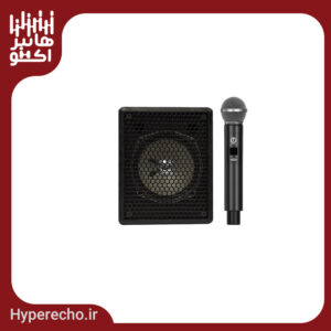 اكو همراه 5 اينچ مينی بيسيم باميكروفن تكنوآوا TECHNOAVA TS60PTUR6