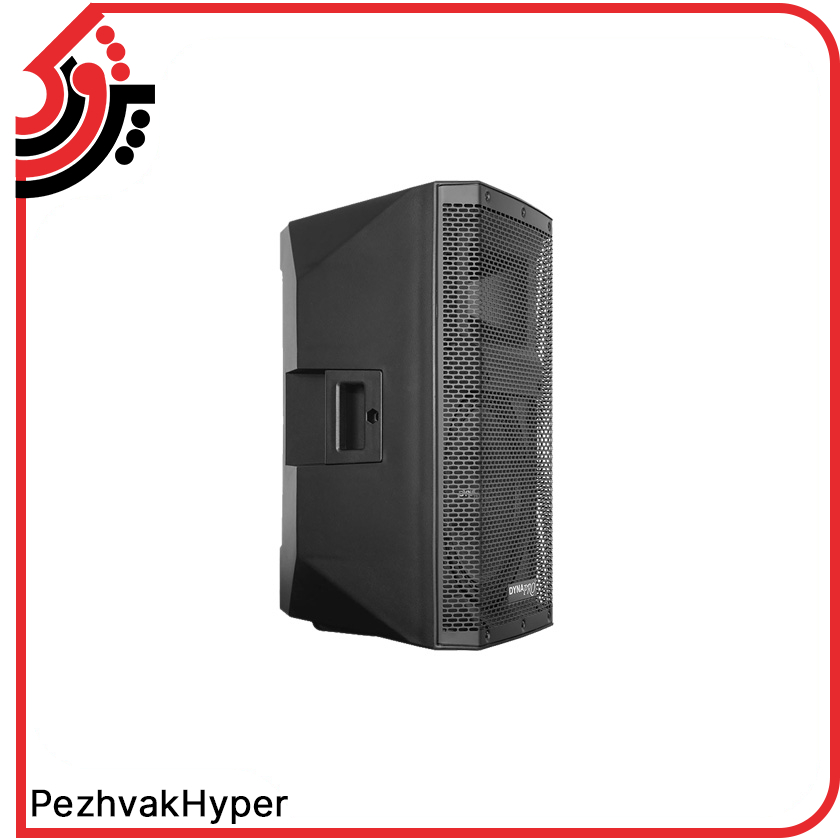 passive-speaker-dynapro-dy1010 (3) باند پسیو دایناپرو DYNAPRO DY 1010