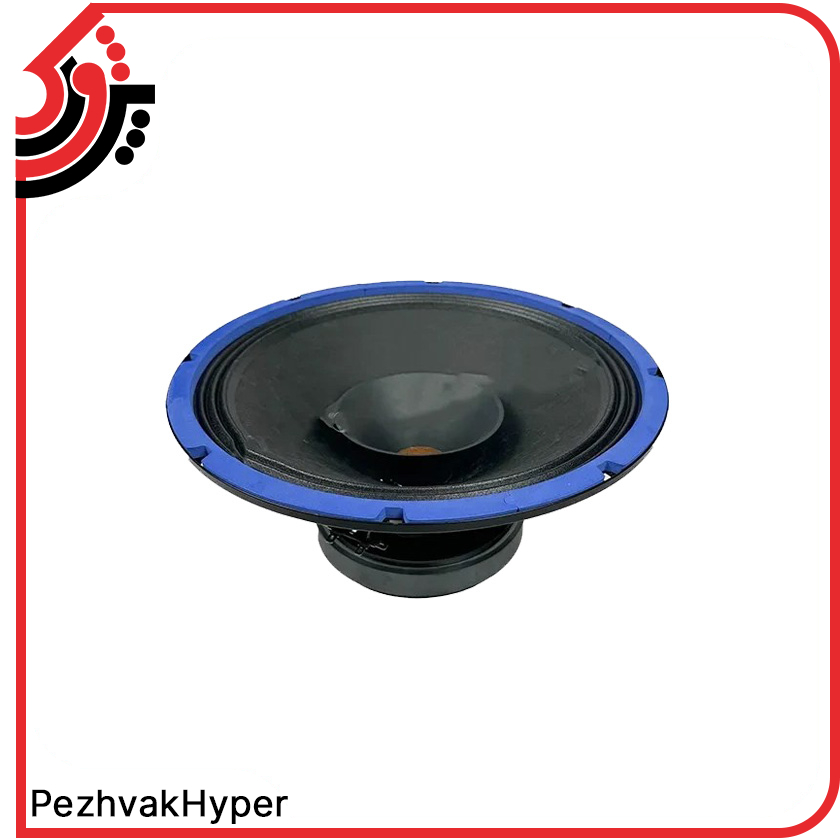 rawspeaker-jasco-dx1280 (2) بلندگوی خام جاسکو JASCO DX-1280