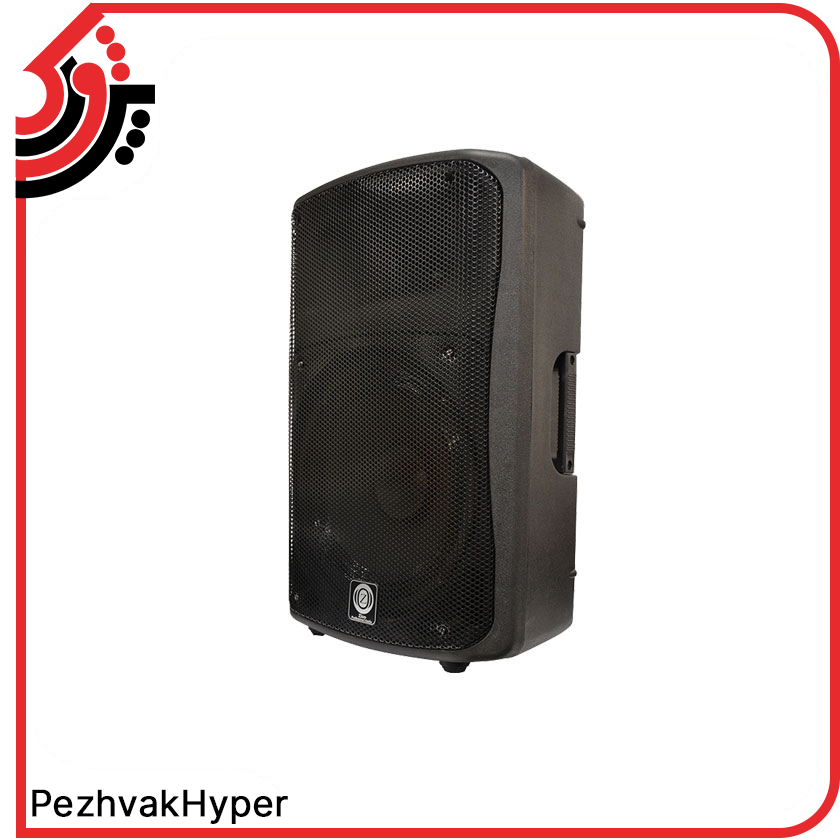 echohamrah-12inch-12800-with-microphone (3) اکو همراه 12 اینچ بامیکروفن زیکو ZICO 12800 PBUR