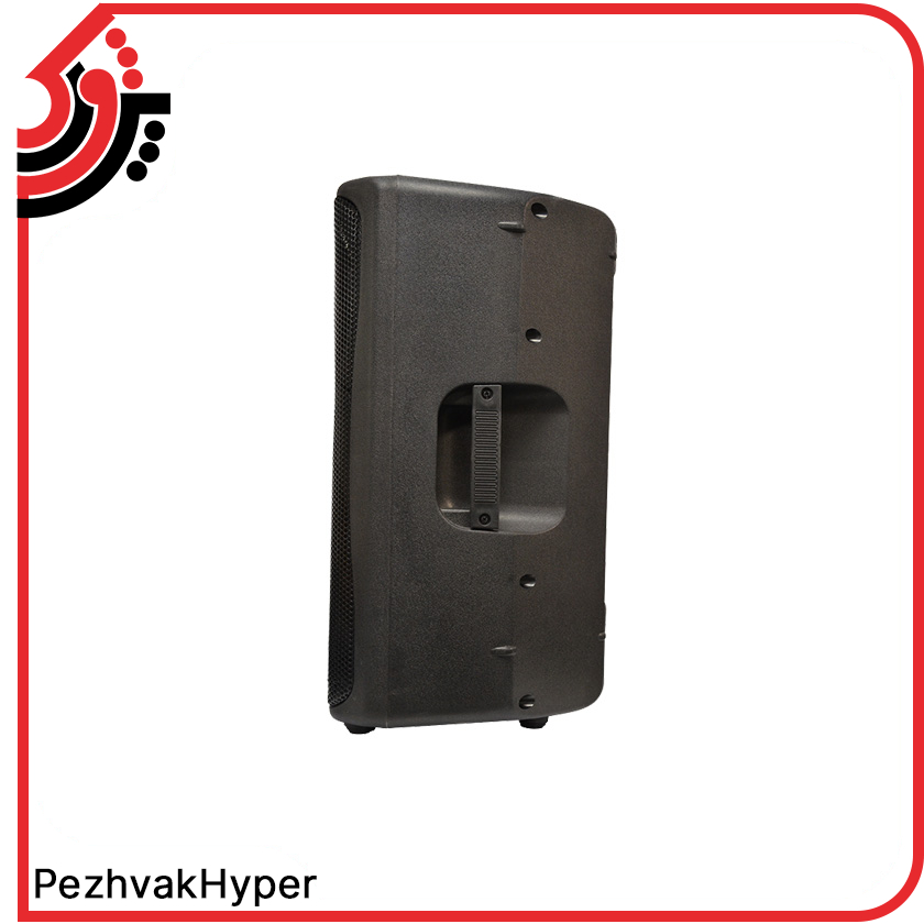 echohamrah-12inch-12800-with-microphone (4) اکو همراه 12 اینچ زیکو ZICO 12800 PBUR