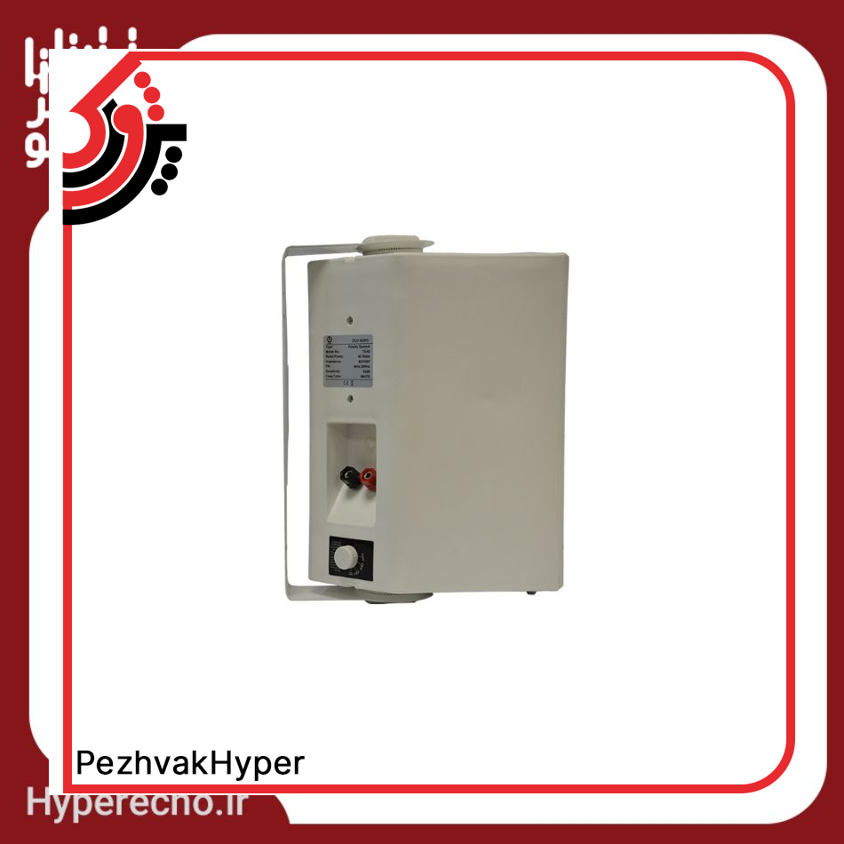 hyper echo-decorative-speaker-ts-60-technoava- (12)