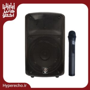 اکو همراه 12 اینچ بامیکروفون زیکو ZICO 12800 PBUR