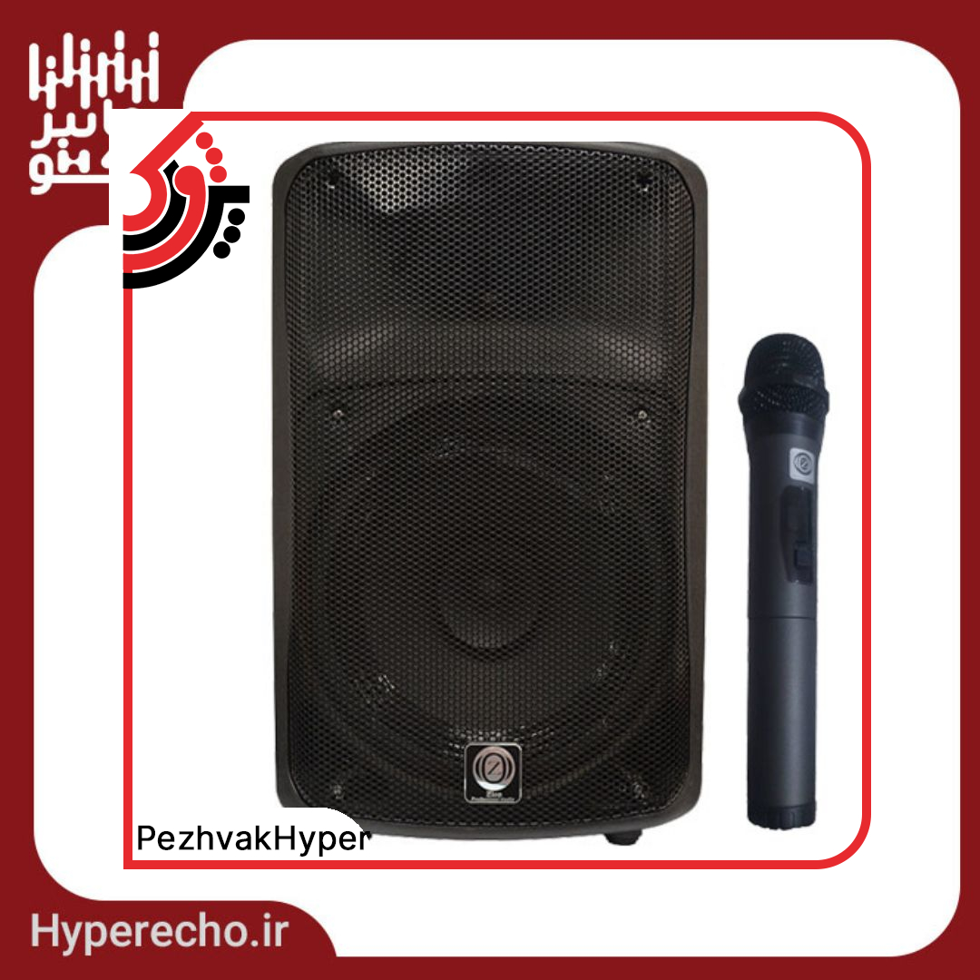 zico-echohamrah-12800-withmic اکو همراه 12 اینچ بامیکروفون زیکو ZICO 12800 PBUR