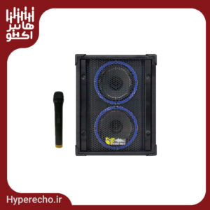 اکو همراه بیسیم برین صوت Barin-2660