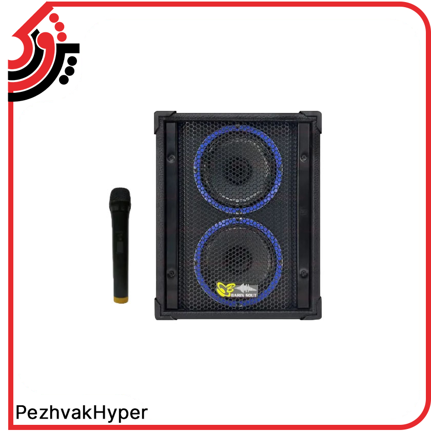barin-echohamrah-2660-with-microphone(3) اکو همراه بیسیم برین صوت Barin-2660