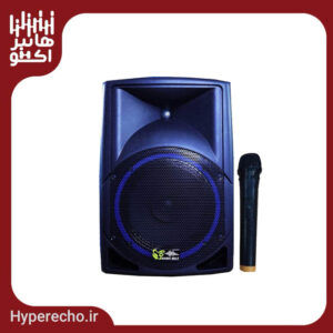 اکو همراه 12 اینچ بامیکروفون برین صوت BARIN SOUT 12300