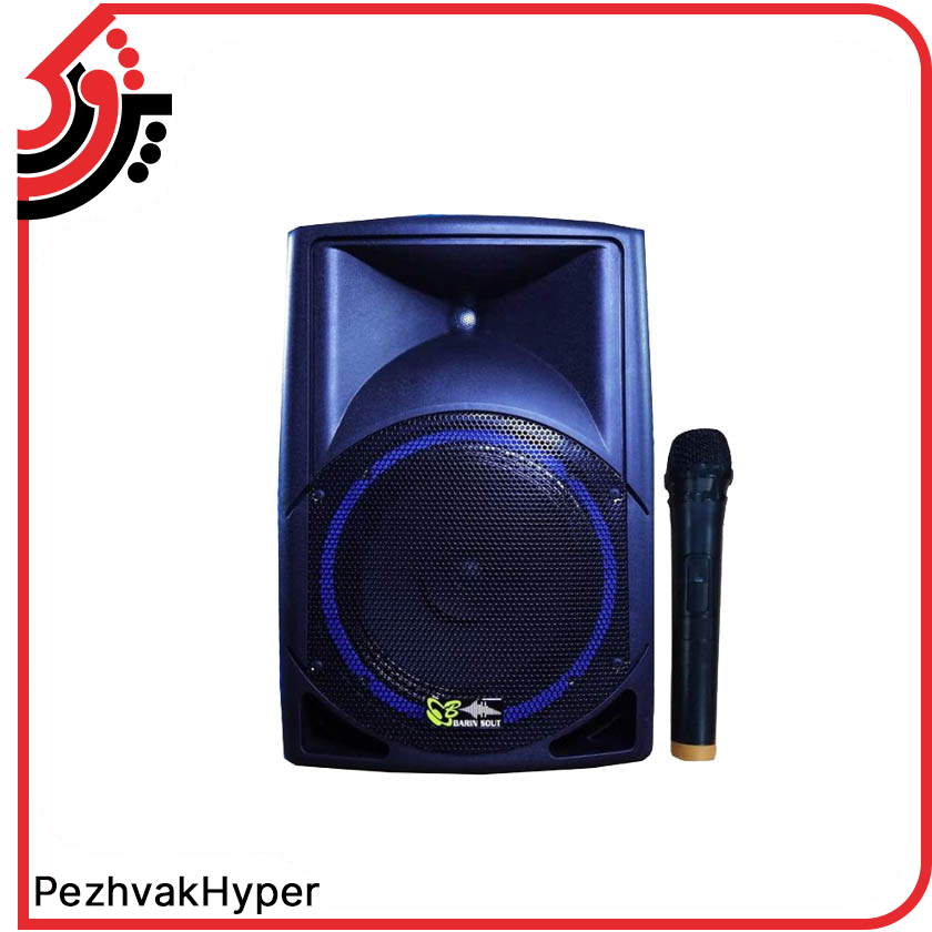 barin-sout-echohamrah-12inch-12300-with-microphone-avazac-1 اکو همراه 12 اینچ بامیکروفون برین صوت BARIN SOUT 12300