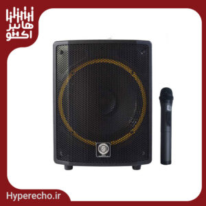 اکو همراه 12 اینچ بامیکروفون 023 زیکو ZICO 12400 FPBUR