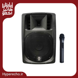 اکو همراه 12 اینچ بامیکروفون 026 زیکو ZICO 12600 FPBUR