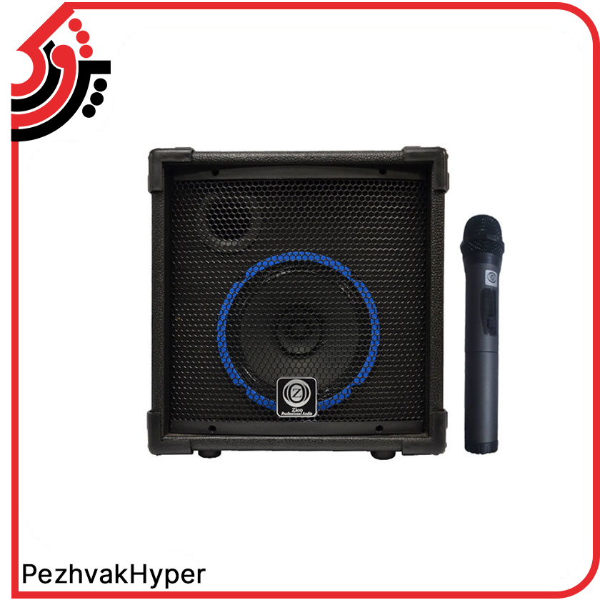 اکو همراه 8 اینچ بامیکروفون زیکو ZICO 18200 PBUR